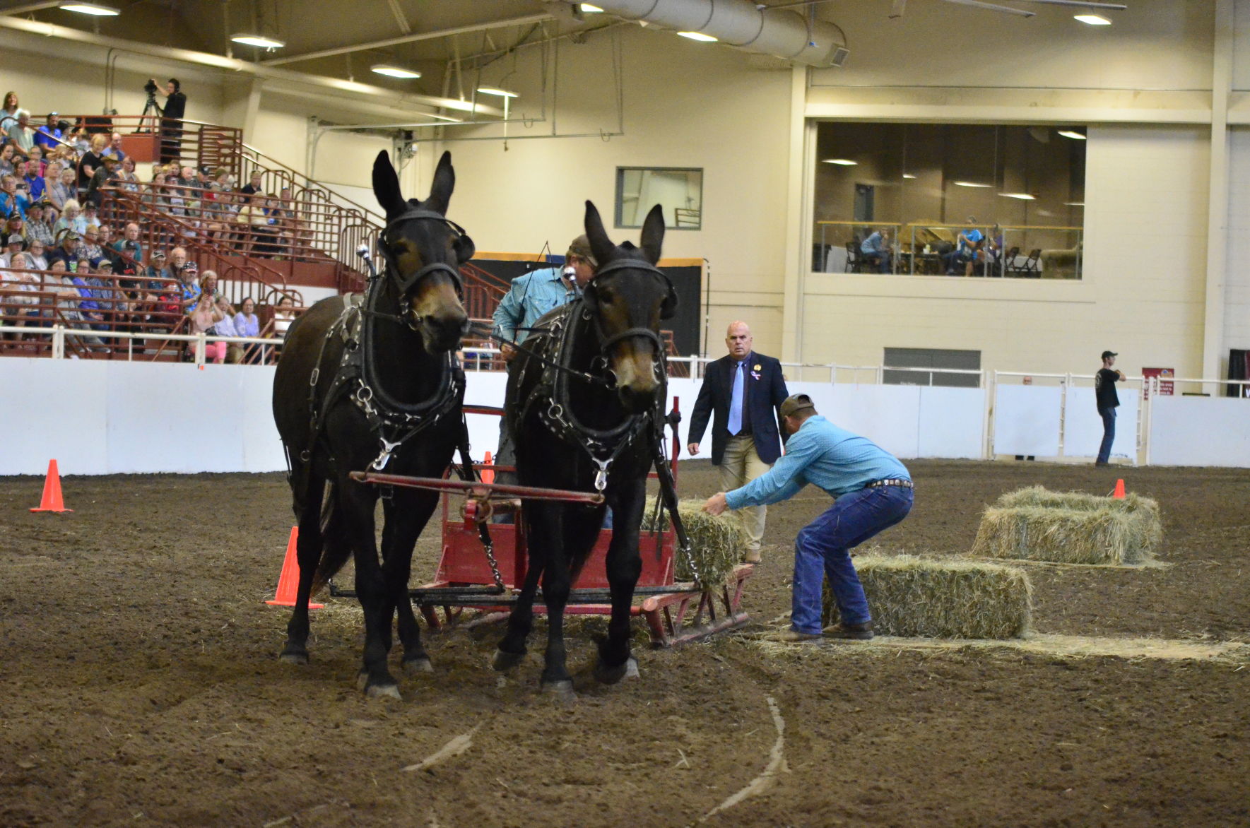8-25-19 Draft Horse Hitch Final (18).JPG
